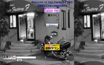 Hair Factory F